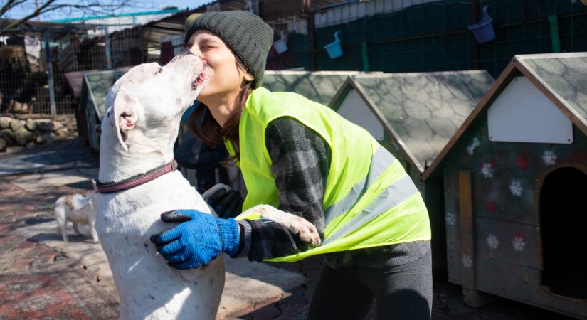 Megtalálták a boldogság tuti receptjét: csak pár órát t kell rászánni, bárkinél működik
