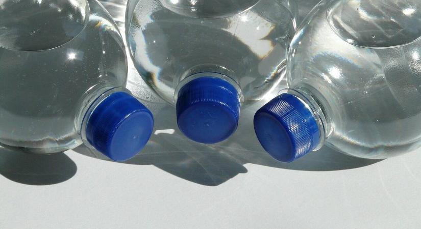 Szénsavas vízzel öntözve sokat ártok a szobanövényeknek? A válasz meglepő lesz