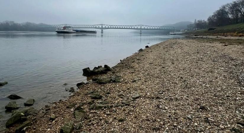 Újra csapdát állított a Duna – egy hete esett fogságába a Bonavia