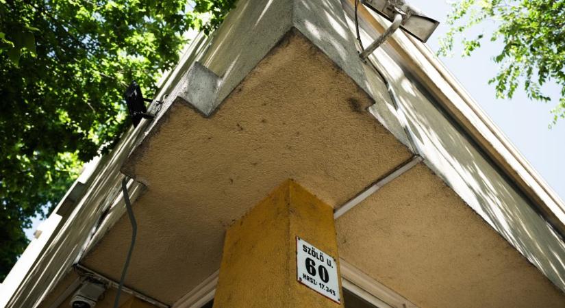 Szőlő utca: a rendőri fegyelmezés nem oldja meg a problémát a civil szervezetek szerint