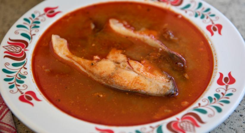 Ki mondta, hogy a karácsonyi pontyvásárlás rémálom? Interaktív térkép segít, hol vegyél friss hazai halat