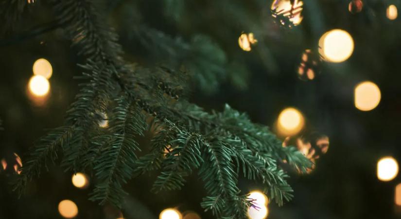 Így néz ki a világ legmagasabb karácsonyfája – videó