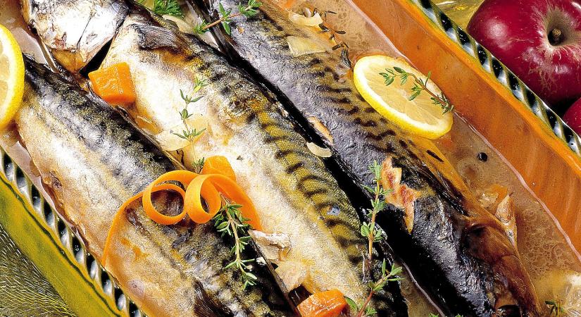 Hazai halat az asztalra!