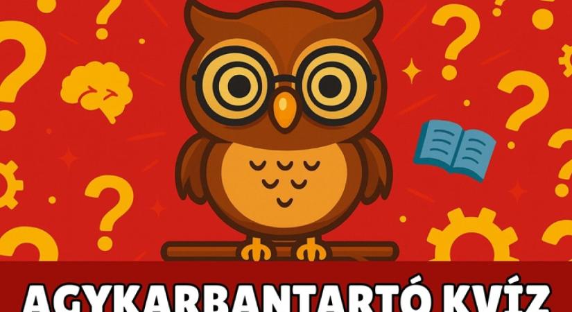 A kvízek világa: játék, tudás és a kíváncsiság találkozása