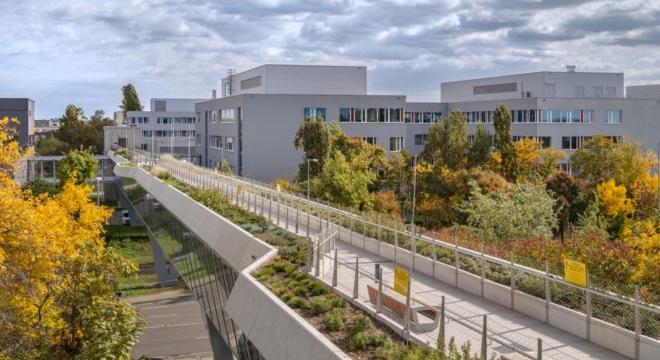 Jelkép és közlekedés