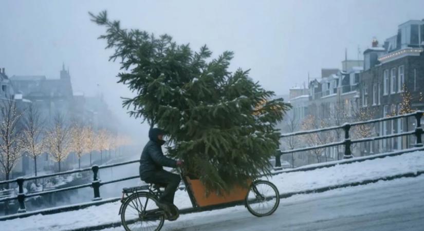 Röhejesre sikerült a McDonald's karácsonyi reklámja, végül törölni kellett