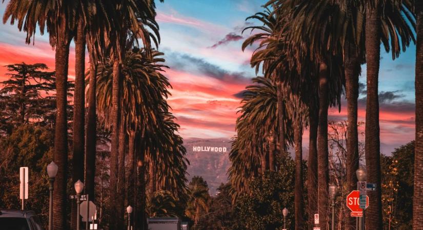 Trump, Ellison, Netflix: médiaóriások játszmája, de csak egy nyerhet – vagy mégsem?