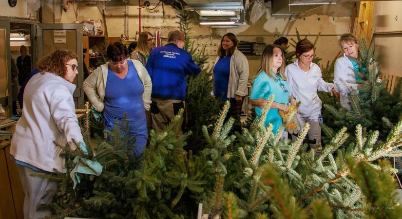 Hamarosan karácsonyi díszbe öltözhetnek az egri kórház folyosói