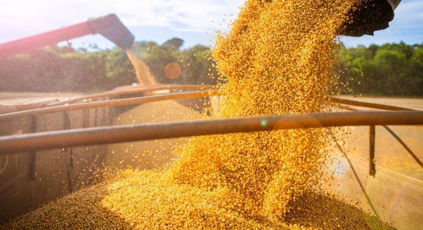 Szent a béke? Újraindul az export, ez az árakra is kihat majd