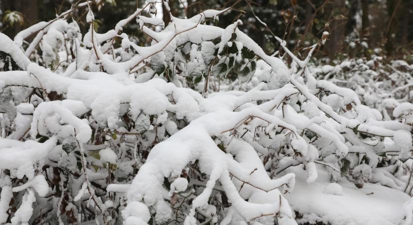 Kiderült: ekkora az esélye a fehér karácsonynak Vasban