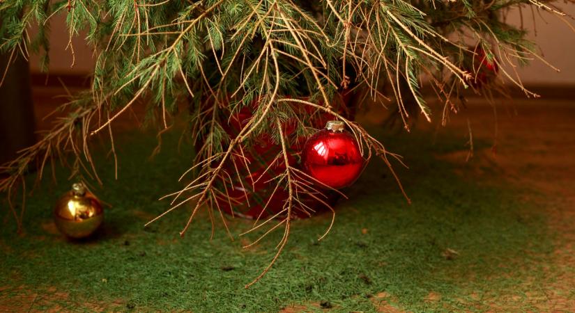 Egy remek ajándék idén karácsonyra azoknak, akik a tudatosan bánnának a pénzükkel