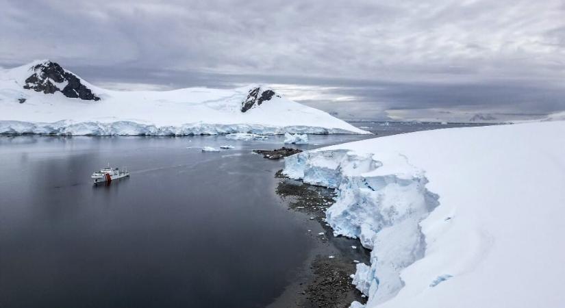 Már az Antarktiszon élő szúnyogban is ott a mikroműanyag