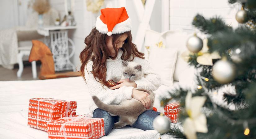 Állatot karácsonyra? A szakértők nem ajánlják