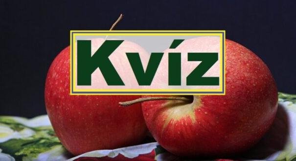 Nyolc kvízkérdés: Ha legalább 5 kérdésre jó a válaszod, büszke lehetsz magadra (687)