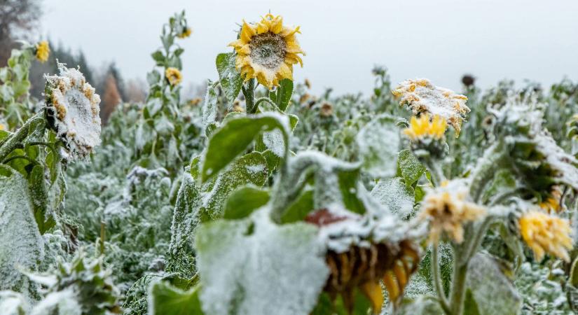 14 vármegyére adták a ki a figyelmeztetést, végre érkezik a havazás és az igazi tél? Valami közeleg - Időjárás-előrejelzés