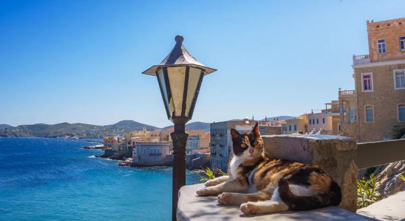 Egy káprázatos görög szigetre keresnek munkaerőt, ahol a szállást, sőt az étkezést is biztosítják