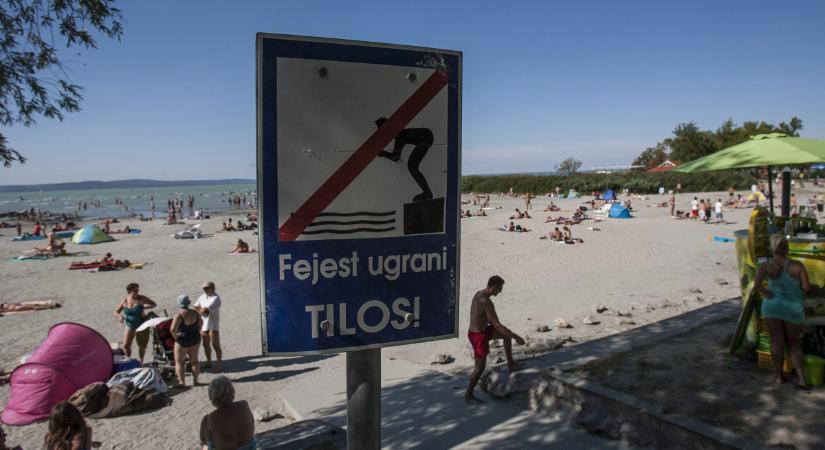 A nyulak is szóba kerültek a siófoki Nagystrand ügyében