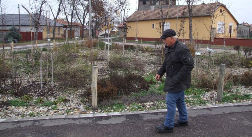 Meglepően olcsó és egyszerű megoldásokkal tehetünk a tájak kiszáradása ellen