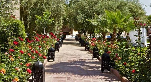 Fények a kertben: amikor a világítás életet ad a térnek