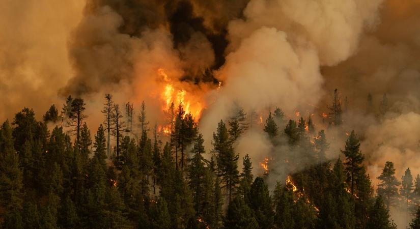 Klímakárok: a kormányoké, vagy a kibocsátóké a nagyobb felelősség?