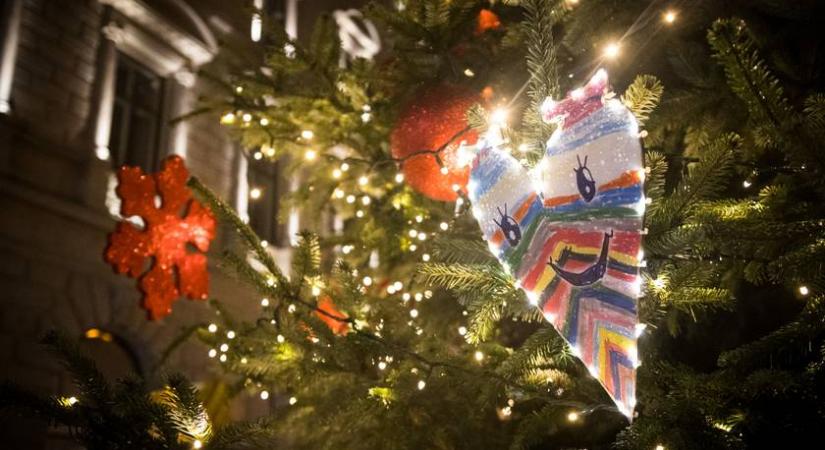 Börtön járhat érte, ha ezt teszed a kertedbe karácsony előtt