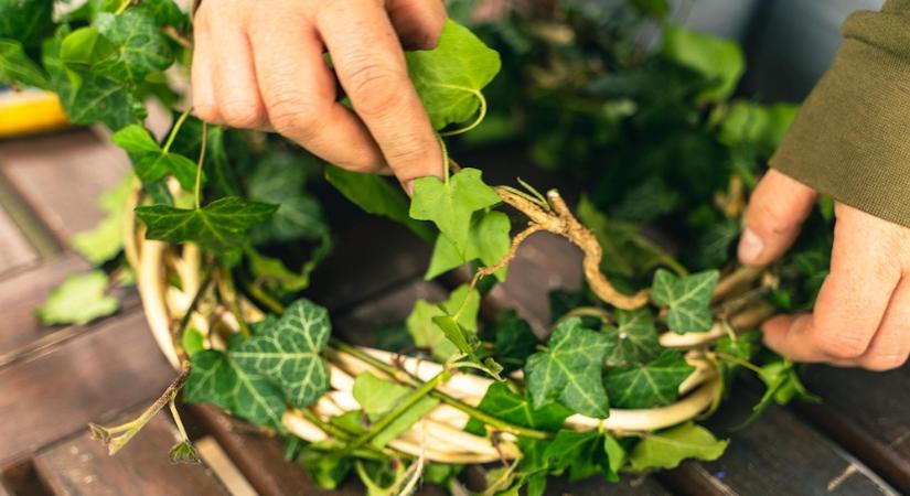 Girlandok, koszorúk, ágak: hogyan buknak meg a kertészek a "csak pár gallyat hozok be" próbán?