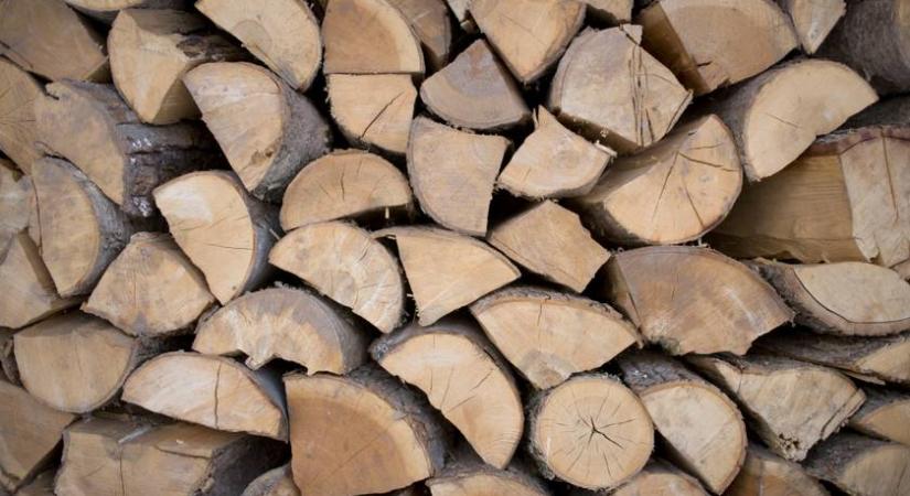 Nagy bajba kerülhetsz, ha így vásárolsz tűzifát: különösen veszélyes csalás terjed az országban