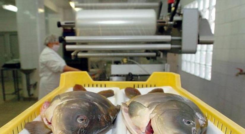 Karácsonykor halat enne? Akkor most kapaszkodjon!