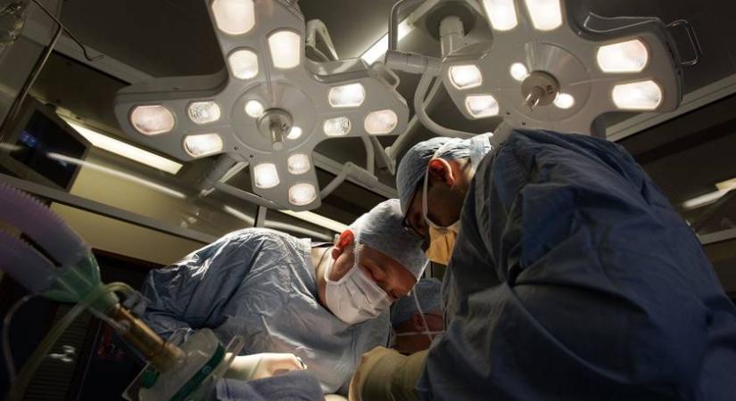 Szervátültetés után váratlanul meghalt a beteg – végzetes vírus lapult a transzplantált vesében