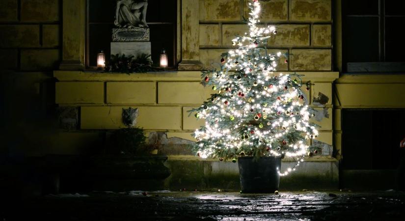 Titokban készülnek a meglepetés karácsonyfák Sopronban, mosolyt csalnak az arcokra