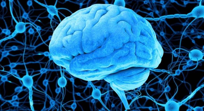 Magyar híresség lett a világ legintelligensebb nője: a top 10-es listában csak férfiakkal szerepel