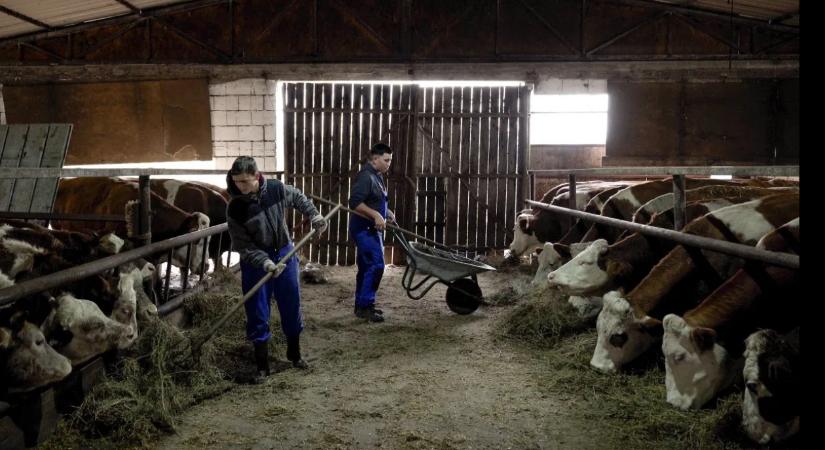 Mezőségi sikertörténet: így született újjá a magyar mezőgazdasági szakoktatás Válaszúton