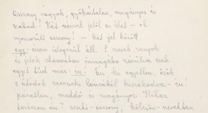 Török Sophie közel ezer kézirata költözött az internetre, mostantól bárki böngészheti őket