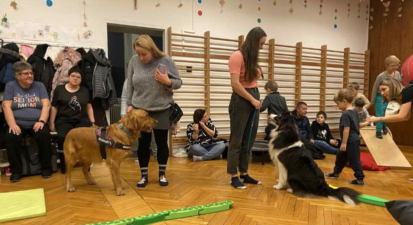 Terápiás kutyák és kreatív tanulás – így mutatkozott be az új iskola (videóval, galériával)