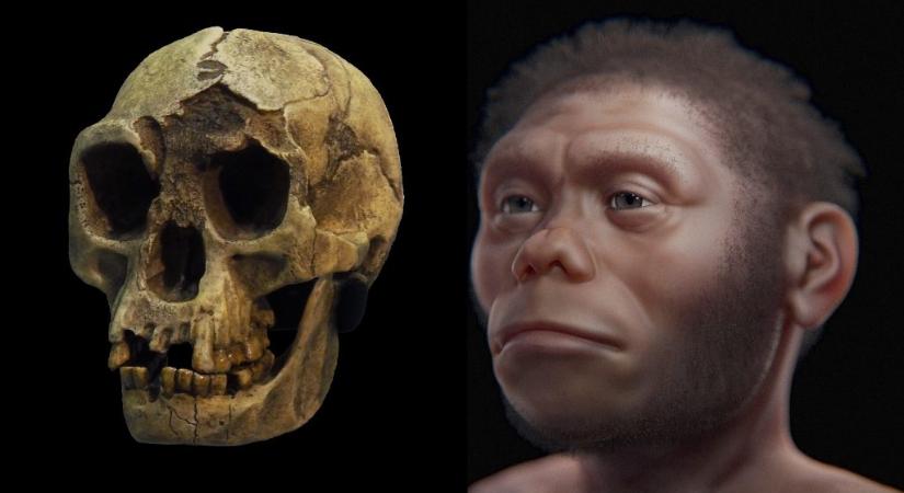 Kiderült, miért halhattak ki a hobbitok