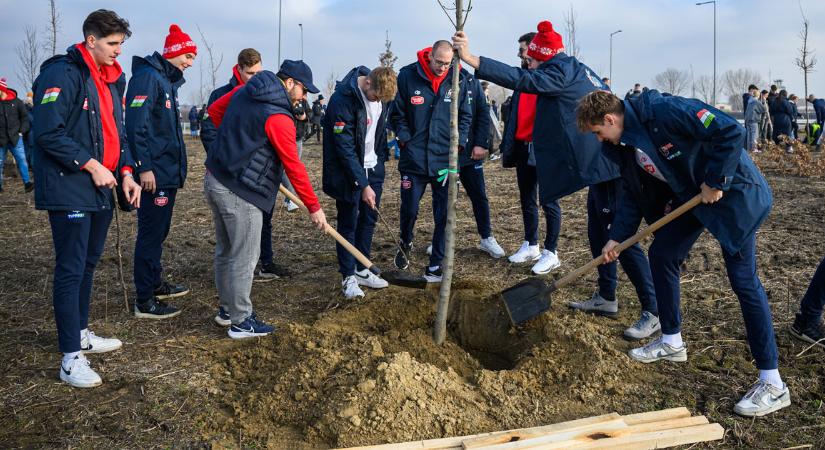 Közösségi faültetéstől a laborfejlesztésig: ez történt januárban Debrecenben