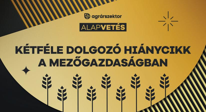 Kétféle dolgozó hiánycikk a magyar mezőgazdaságban: aki dolgozni tud és akar