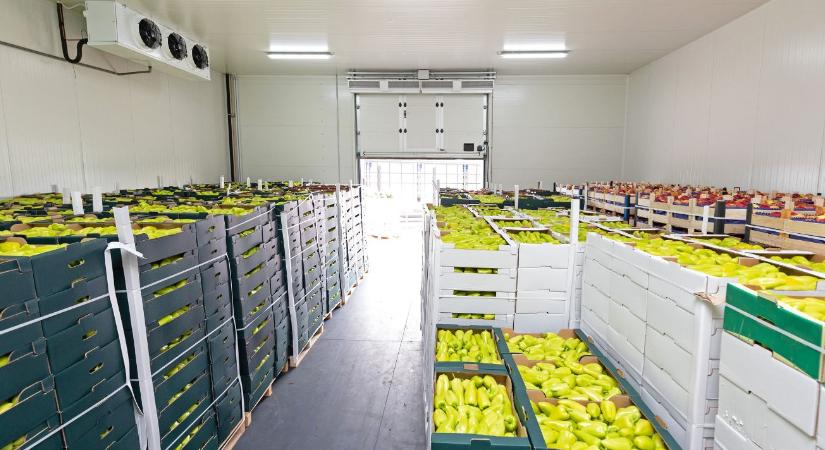 Tárolás okosan: milliókat spórolhat a termelő a jó technológiával