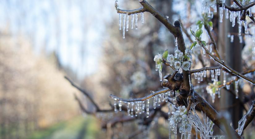 Fontos változások a KAP pályázati menetrendben – ezekre készülj 2026-ban!