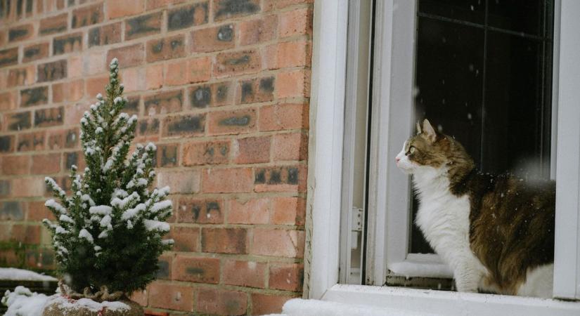 Vajon milyen lesz az idő karácsonykor? Íme a december eleji adatok