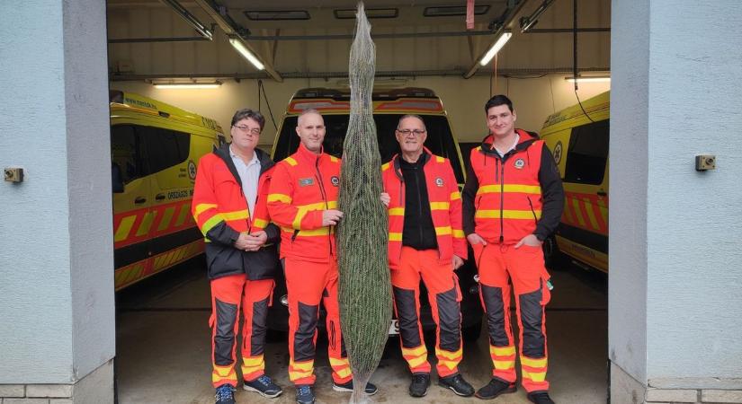 Megható meglepetés az erdészettől: karácsonyfát kaptak a vasi mentők