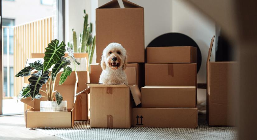 Már harmadik hónapja csökkennek folyamatosan az albérletárak