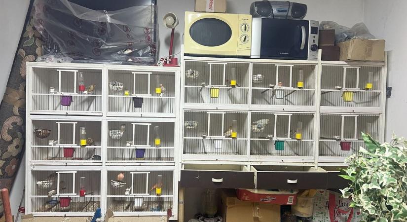 Ennyi állat szenvedett az otthonában, így reagált a vádakra az orrvadász