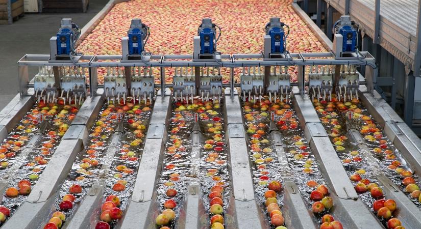 Fontos nyomtatványok jelentek meg, neked is szükséged lehet rájuk