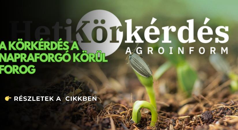 Előszezoni ajánlat napraforgóra – Heti Körkérdés