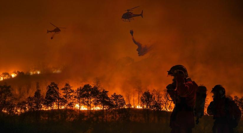 Áttörés az erdőtüzek ellen: Görögország elképesztő ötlettel állt elő