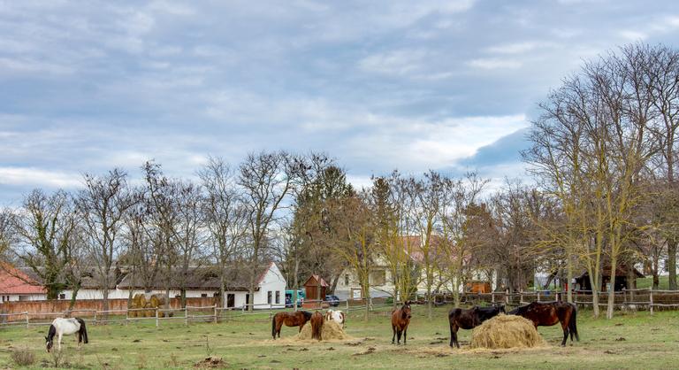 Januártól módosul az Otthon Start Program, számos ingatlan helyzete változhat meg