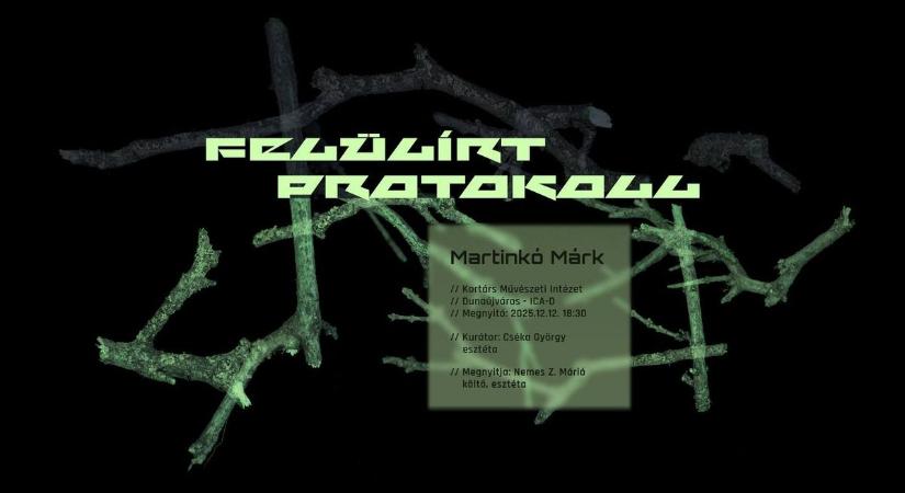 A természet, az ember és a digitális világ határain – Martinkó Márk munkái a KMI-ben