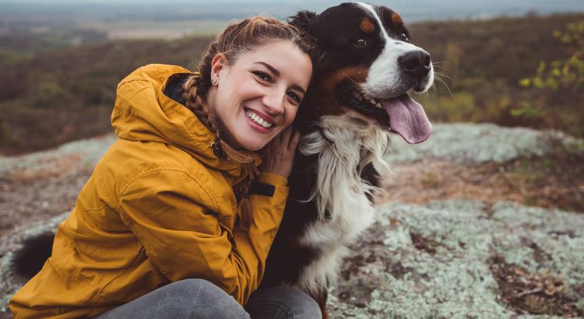 Több mint meglepő a lista: ezekben a kutyafajtákban van a legtöbb farkas DNS