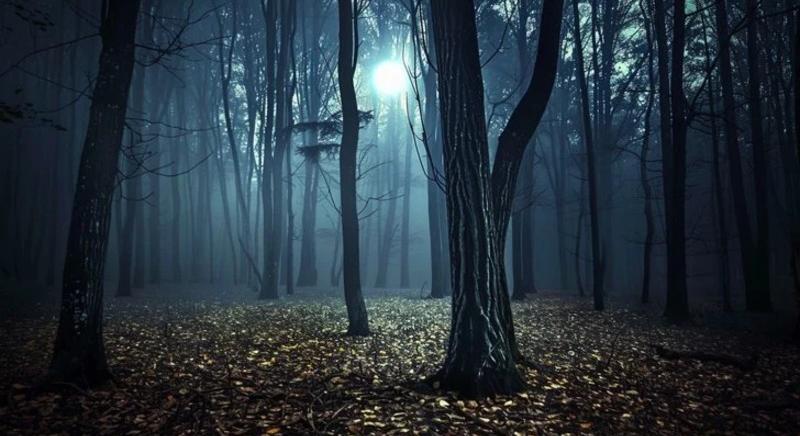 Éjjeli baglyok, figyelem, érkeznek az éjszakai Bitcoin ETF-ek